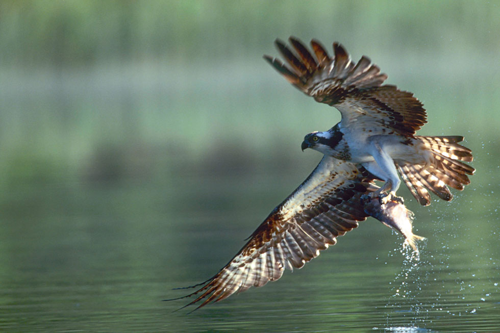 Nationalpark Uckermark