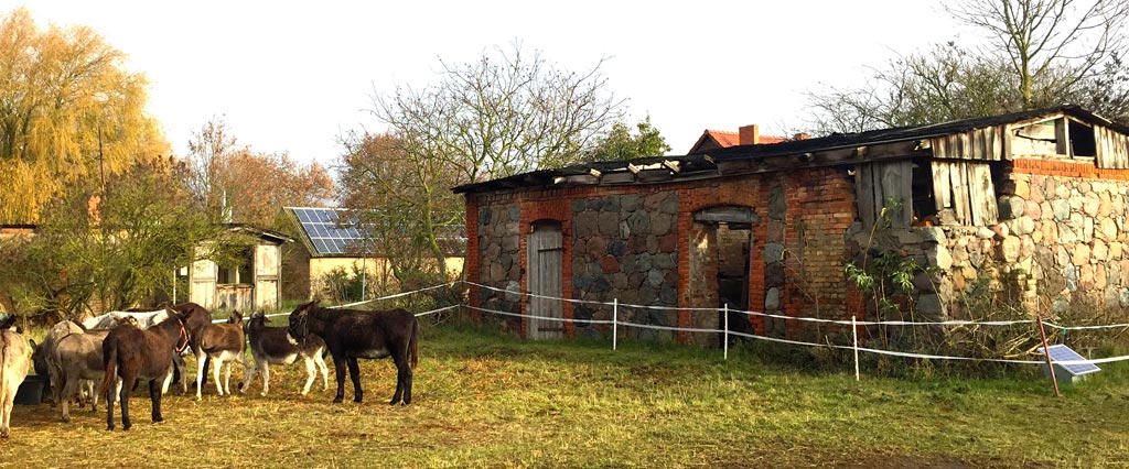 Eselwandern-Startstation