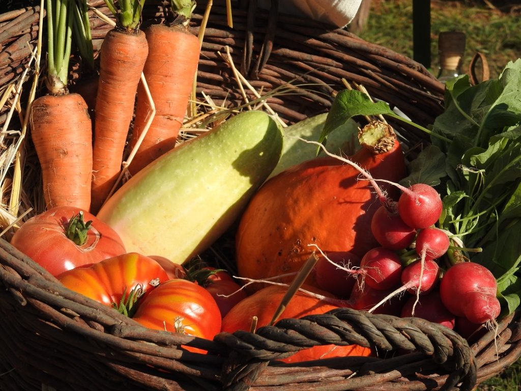 8. Regionalmarkt der Uckermark am 03. Oktober an der Blumberger Mühle