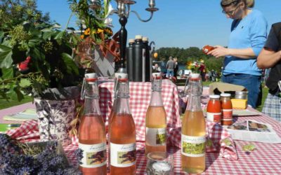7. Regionalmarkt der Uckermark – Ausstelleranmeldung bis 19. August möglich