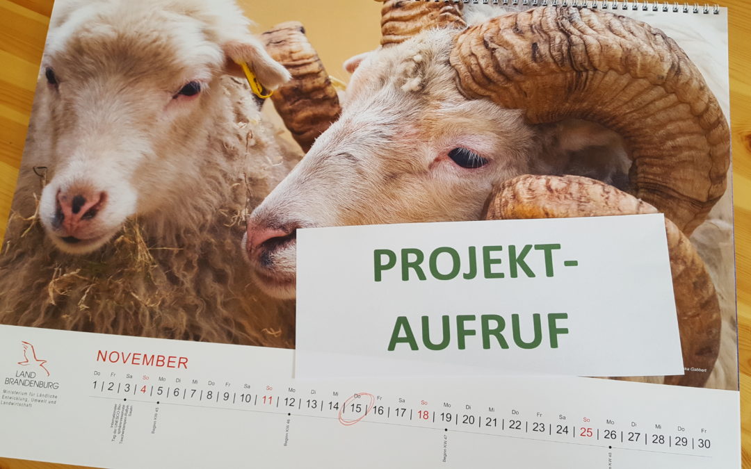 PROJEKTAUFRUF – 2. Projektauswahlverfahren 2018