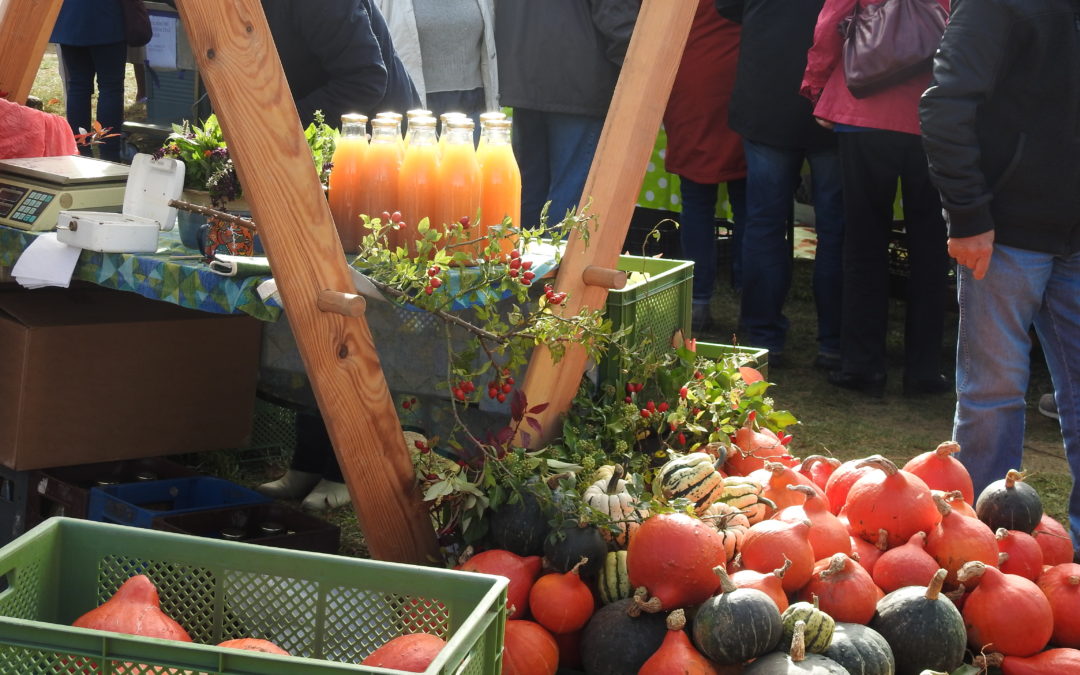 Erfolgreicher 7. Regionalmarkt der Uckermark