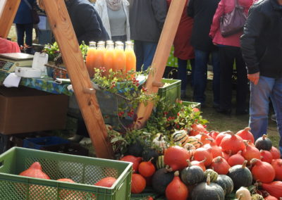 Demeterbetrieb HOf im Winkel / Thomsdorf