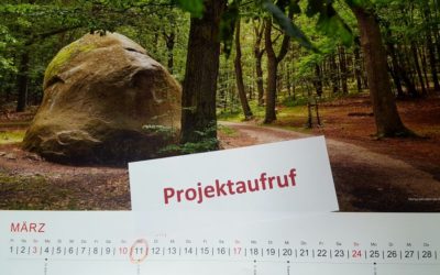 PROJEKTAUFRUF – 1. Projektauswahlverfahren 2019