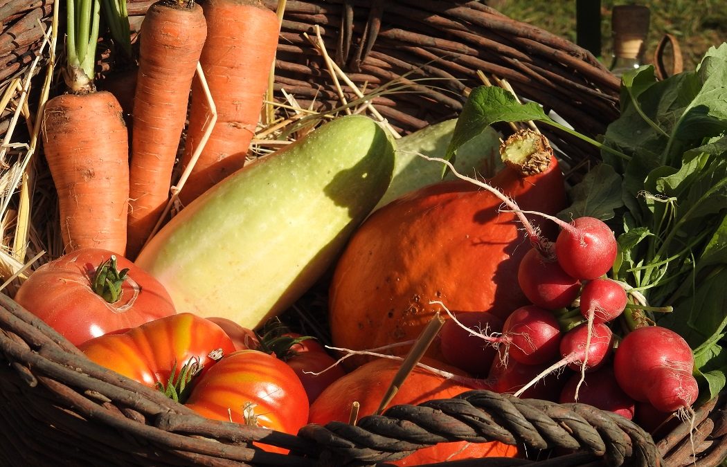 8. Regionalmarkt der Uckermark am 03. Oktober an der Blumberger Mühle