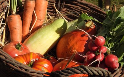 8. Regionalmarkt der Uckermark am 03. Oktober an der Blumberger Mühle