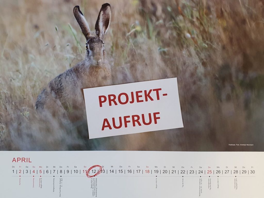AUFRUF zum Projektauswahlverfahren für LEADER-Fördermittel 2021